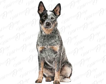 Diseño de clipart de perro Blue Heeler Labrador Retriever, PNG, descargas de arte digital, descarga instantánea, gráficos de sublimación, impresión DTG