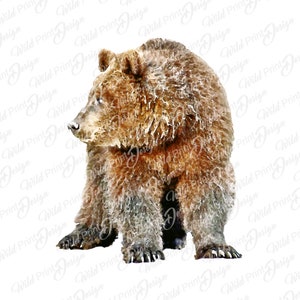 Bear Watercolor Clipart, Instant Download for Sublimation Transfer, PNG Files, last minute DIY gift for him