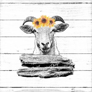 Clipart di capra con girasole, PNG di capra, download istantaneo, grafica a sublimazione, trasferimento a sublimazione, design clip art, stampa DTG