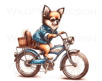 Clipart de perro chihuahua en bicicleta, ideas de regalo para amantes de las mascotas, fondo transparente, archivo PNG, descarga digital, impresión DTG por transferencia por sublimación