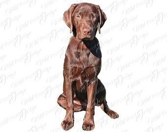 Diseño de clipart de perro Labrador Retriever chocolate, arte de perro de laboratorio, PNG, descargas de impresiones de arte digital, descarga instantánea, gráficos de sublimación, impresión DTG