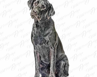 Diseño de clipart de perro Labrador Retriever negro, PNG, póster de perro Labrador negro, descarga instantánea, gráficos de sublimación, impresión DTG