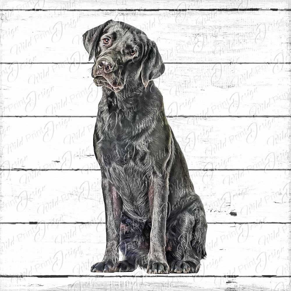 Black Labrador Retriever Dog Clipart Design PNG Black Lab - Etsy