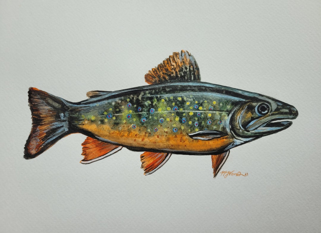 Brook Trout Etsy