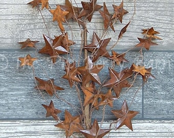 May include: A rustic metal starburst spray with a brown wooden stem and multiple rusty brown metal stars. The stars are arranged in a cluster and are attached to the stem with wire.