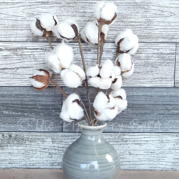 CLOSEOUT -  Cotton Boll Stems, Cotton Boll Picks, Cotton Boll Pods, Faux Cotton, Cotton Picks, Floral Accents, Wreath Making