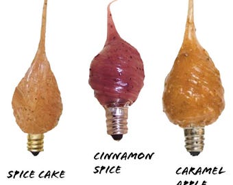 Silicone Dipped Light Bulbs: Assorted Scents, 4 Watt