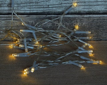 Gold LED Lights, Battery Operated Light Sets, Deco Lights, String Lights, Holiday Lights, Fairy Lights, Craft Supplies