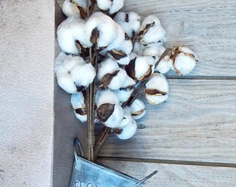 Cotton Boll Stems: Rustic Farmhouse Floral Craft Supply