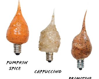 May include: Three 4 watt silicone scented bulbs with metal bases. The orange bulb is labeled Pumpkin Spice, the translucent textured bulb is labeled Cappuccino, and the brown speckled bulb is labeled Primitive Hazelnut. Each bulb has a pointed tip.
