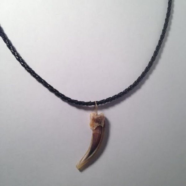 1 3/4" Badger Claw on a 17 1/2" Braided Necklace