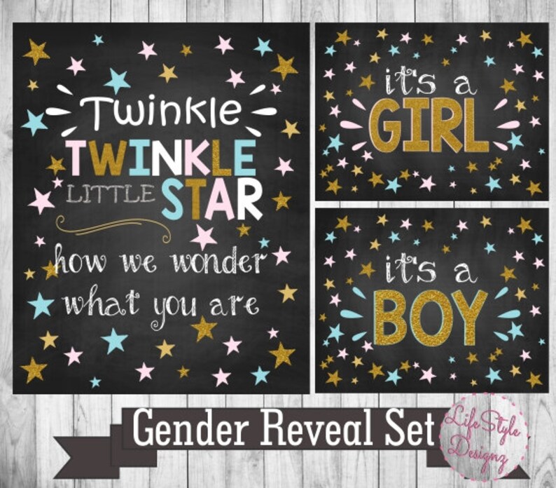Gender Reveal Decorations Twinkle Twinkle Little Star Etsy