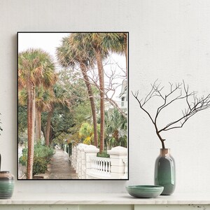 Charleston Photo Print, Tropical Art, Southern Home Decor, Charleston SC, Palm Tree Photo, Fine Art print, Coastal Home,
