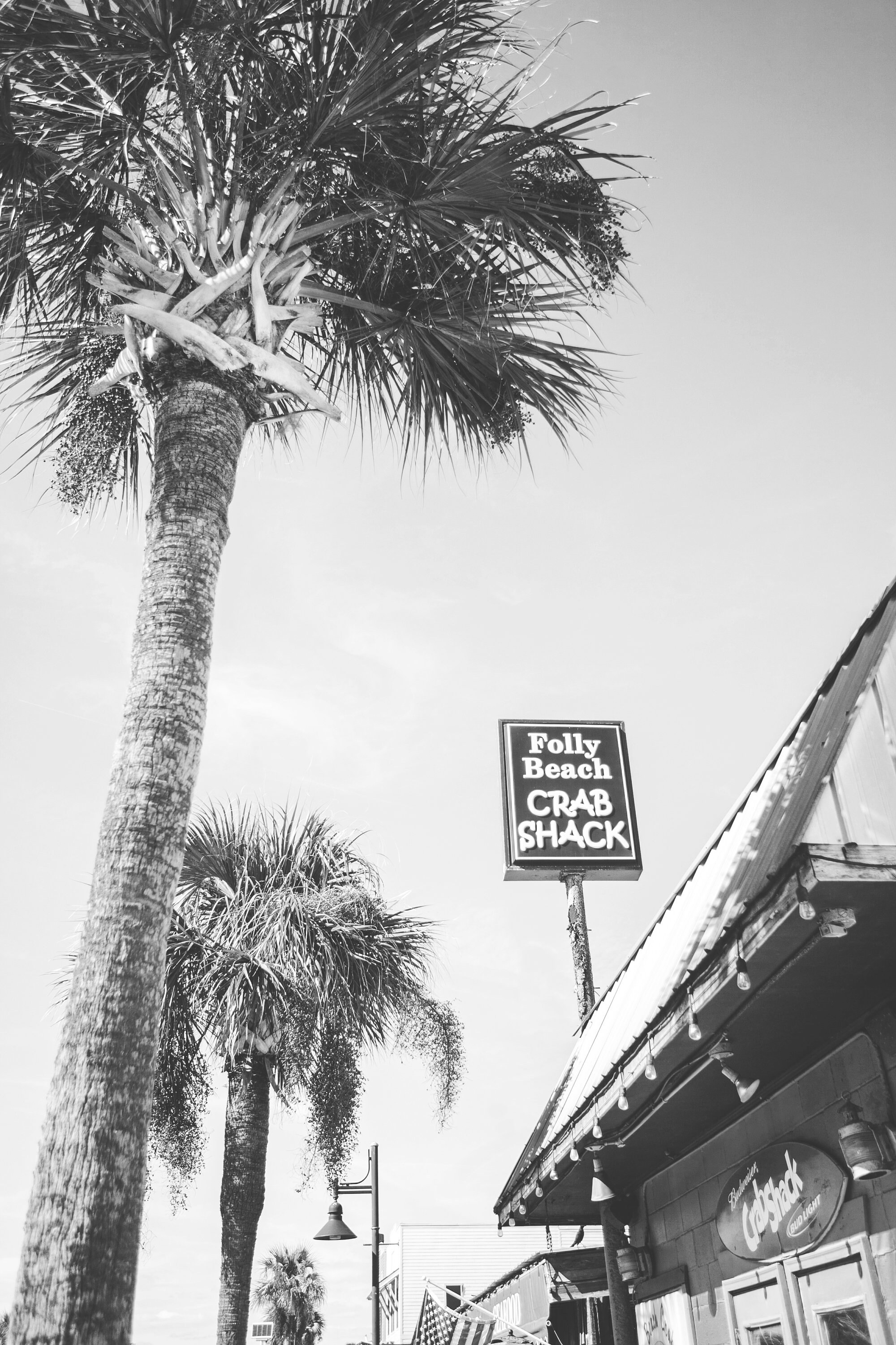 Folly Beach Crab Shack Sign Folly Beach Print Folly Beach Etsy