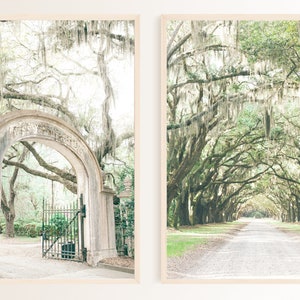 Savannah Photography, Savannah Print Set, Wormsloe Plantaion, Wormsloe Savannah, Print Set, Savannah wall Art Set, Savannah Photograph Set