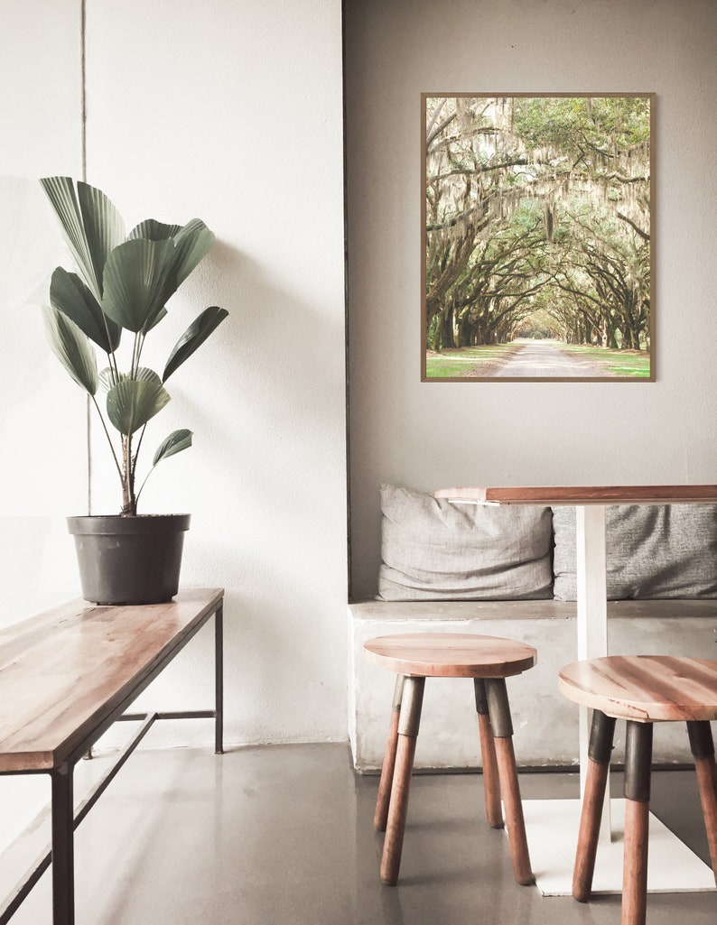 Savannah GA, Savannah, Savannah Ga Wall Art, Savannah Art, Savannah Ga Art, Wormsloe Plantation, Savannah Ga Print, Live Oak Print image 2