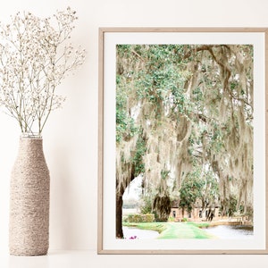 Charleston SC, Live Oak Print, Lowcountry Decor, Middleton Place, Charleston Photo Print, Southern Home, Southern Decor, Farmhouse decor