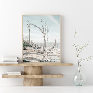 Folly Beach, Charleston SC, Ghost Trees, Charleston Print, Lowcountry Photography, Charleston Wall Art, Coastal Decor, Beach House Art