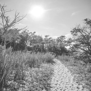 Folly Beach, Charleston Sc, Coastal Decor, Lowcountry Print, Seaside