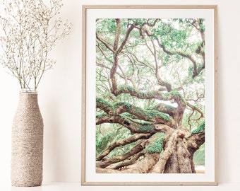 Angel Oak Tree Print, Charleston Southern Home Decor