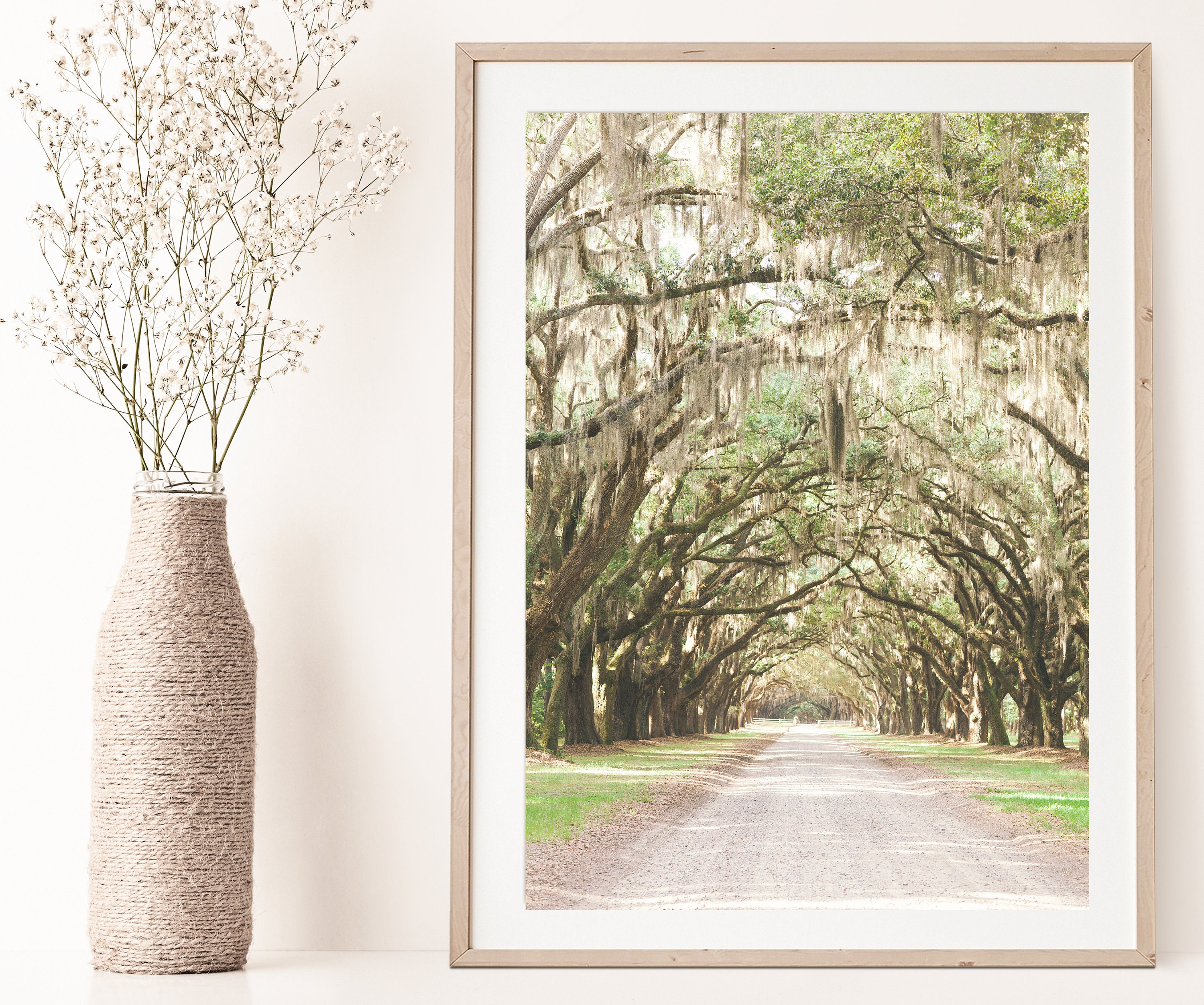 Savannah GA Savannah Savannah Ga Wall Art Savannah Art Etsy