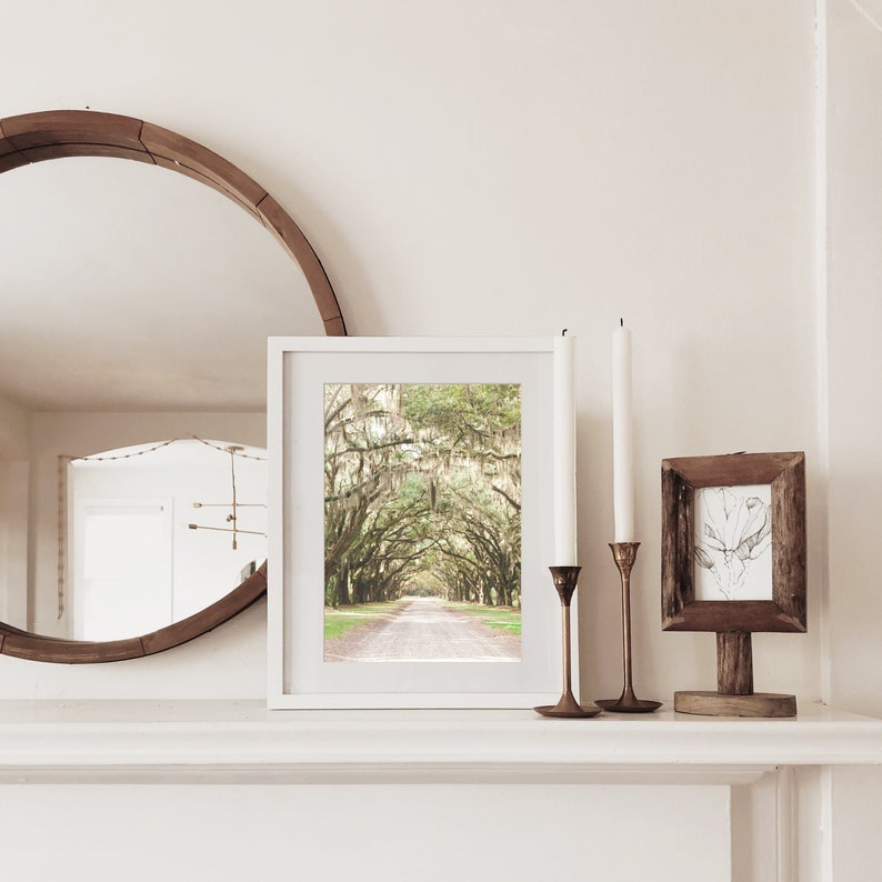 Savannah GA, Savannah, Savannah Ga Wall Art, Savannah Art, Savannah Ga Art, Wormsloe Plantation, Savannah Ga Print, Live Oak Print image 3