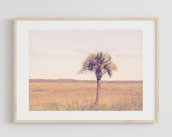 Palm tree Art, Kiawah Island Print, Coastal Photography, Palm Tree Photo, Beach House Decor, Charleston Wall Art, Unframed, Fine Art Print