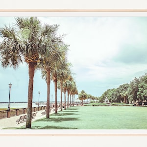 Charleston SC, Waterfront Park Charleston, Charleston Photo Print, Southern Decor, Charleston Wall Art, Charleston Photography Print, Palms