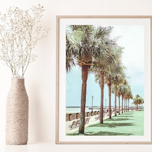 Charleston SC Photography, Charleston Waterfront Park, Charleston Photo Print, Charleston Wall Art, Palm Trees, Southern Home Decor