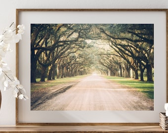 Savannah Print, Savannah Photography, Savannah Ga, Wormsloe Plantation Print, Wormsloe, Live Oak Print, Southern Home, Savannah Art Print