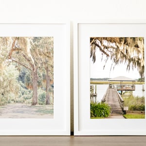 Fotografía de Savannah, impresiones de Savannah, Savannah, Georgia, arte mural de Savannah, Isle of Hope, Bonaventure, Live Oaks, conjunto de impresiones de Lowcountry