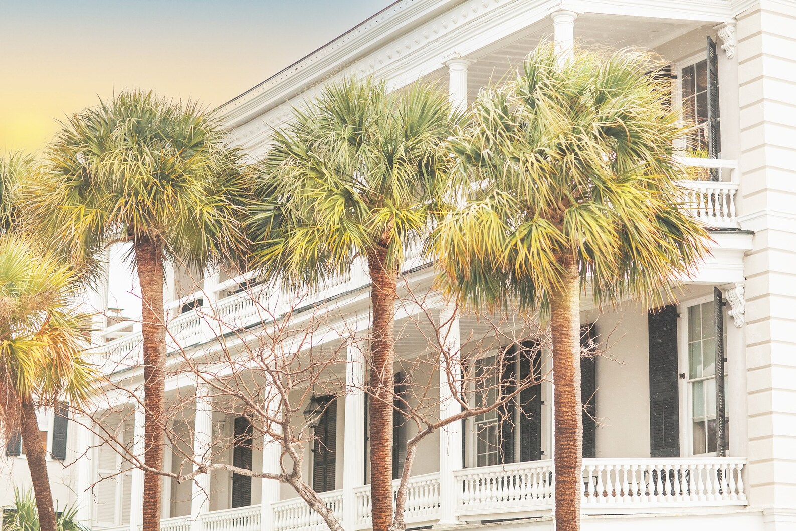 Charleston Art Southern Home Decor Charleston Gift Palm Etsy