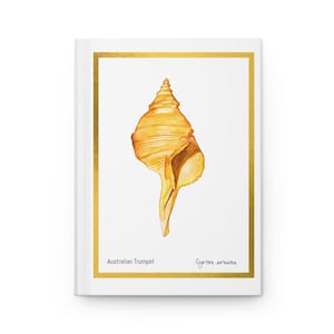 Sea Shell Journal, Seashell Diary, Conch art print, Gift for shell lovers, Ocean Lover Gifts, Sea shell art print, Hardcover Journal