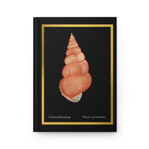 Seashell Journal, Sea Lover Gift, sea shell collector Present, Ocean Lover Gift, Shell Art Print, Nature Lover Gift, Hard Cover Diary