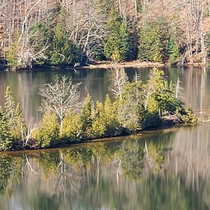 May include: A small island in a lake with a variety of trees and foliage. The island is surrounded by water and the reflection of the trees can be seen in the water.