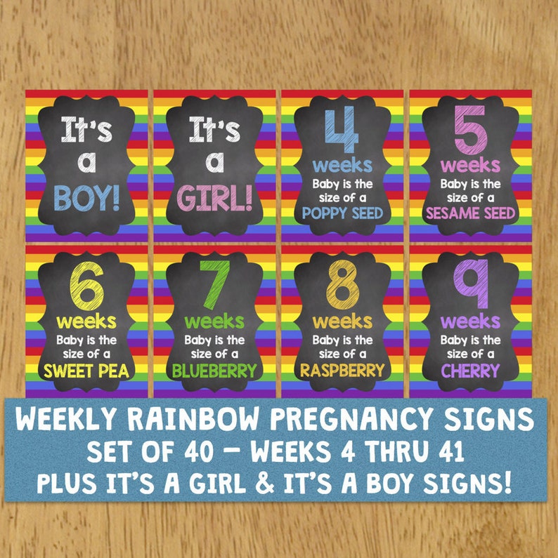 Weekly Rainbow Pregnancy Chalkboard Signs Weeks 441 Etsy