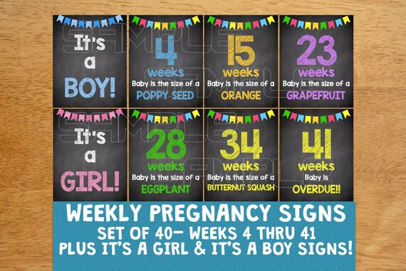 Rainbow Maternity Photos Maternity Maternity Signs Weekly Pregnancy Chalkboard Signs Weeks 4-41
