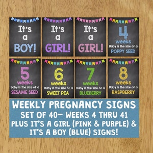 Rainbow Maternity Photos Maternity Maternity Signs Weekly Pregnancy Chalkboard Signs Weeks 4-41