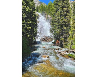 Wildlife River Canvas Print, Matte Stretched Canvas 1.25"