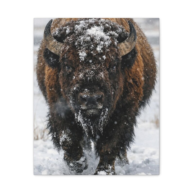 Winter Monarch | American Bison Canvas Print, Buffalo Wall Art, Western Wildlife Decor, Rustic Cabin & Lodge Artwork image 2