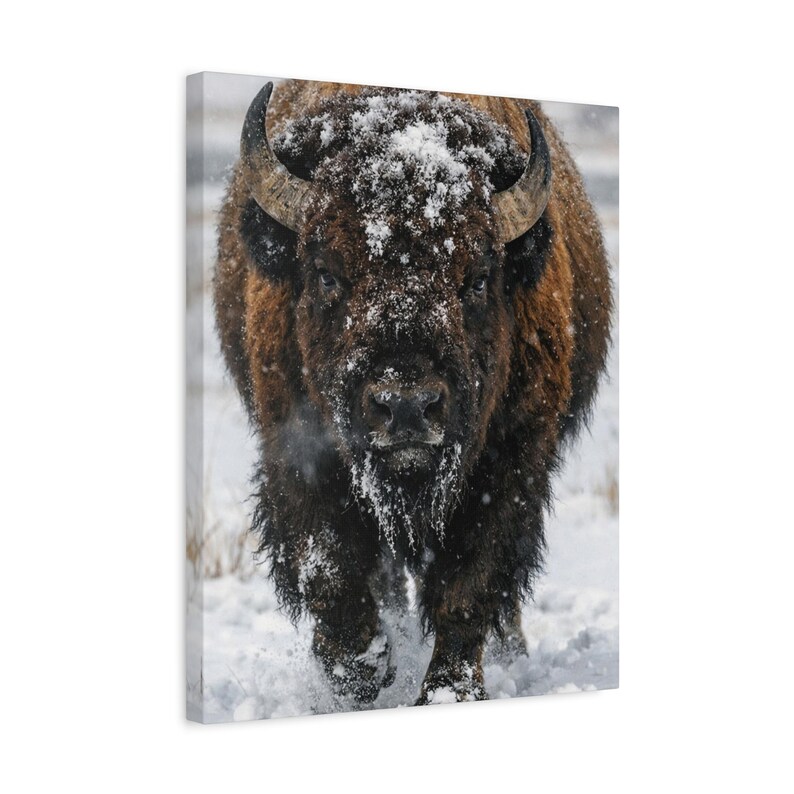 Winter Monarch | American Bison Canvas Print, Buffalo Wall Art, Western Wildlife Decor, Rustic Cabin & Lodge Artwork image 4