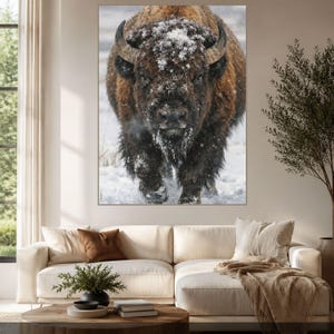 Winter Monarch | American Bison Canvas Print, Buffalo Wall Art, Western Wildlife Decor, Rustic Cabin & Lodge Artwork image 3