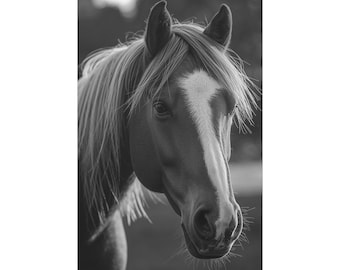 Timeless Spirit Black and White Horse Portrait | Equine Fine Art Photography | Western Horse Wall Art | Rustic Ranch Decor