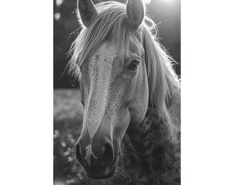 Ruhige Anmut – Schwarz-Weiß-Porträt eines Pferdes | Pferde-Wandkunst | Westernpferdefotografie | Rustikale Ranch- und Landhausdekoration