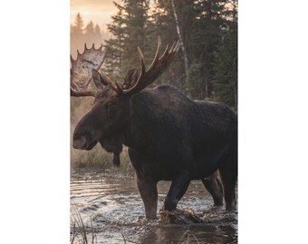 Elch-Leinwandbild „Into the Wild“ | Rustikale Wildtier-Deko | Kunst für Berghütten | Elch-Motiv aus dem Wald | Western-Wanddeko