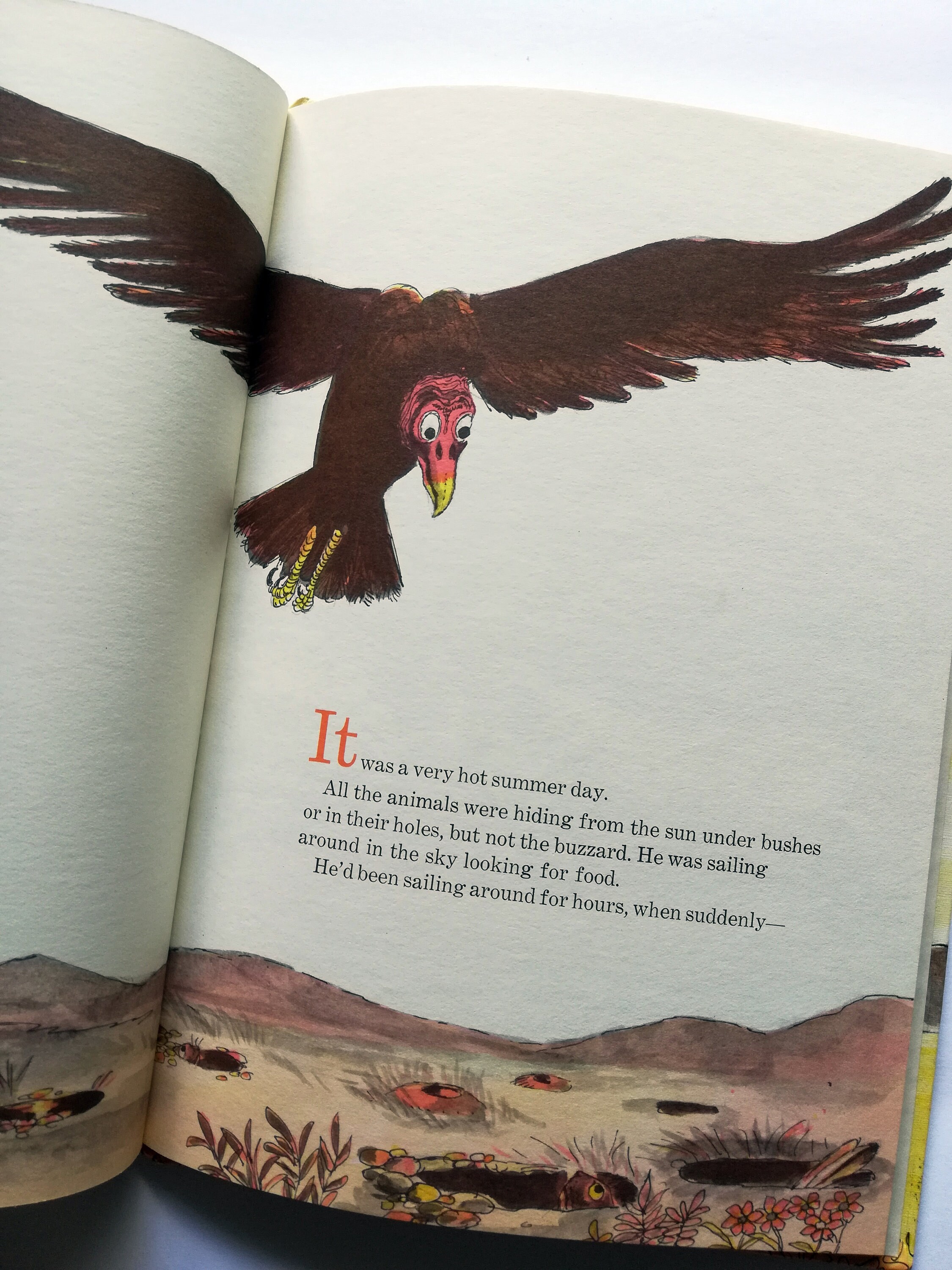 The Cool Ride in the Sky, Hardcover, Illustrated by Paul Galdone ...