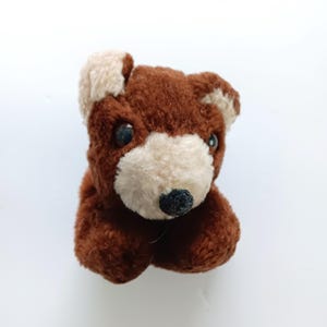 May include: A small brown and cream plush teddy bear with black eyes and a black nose.