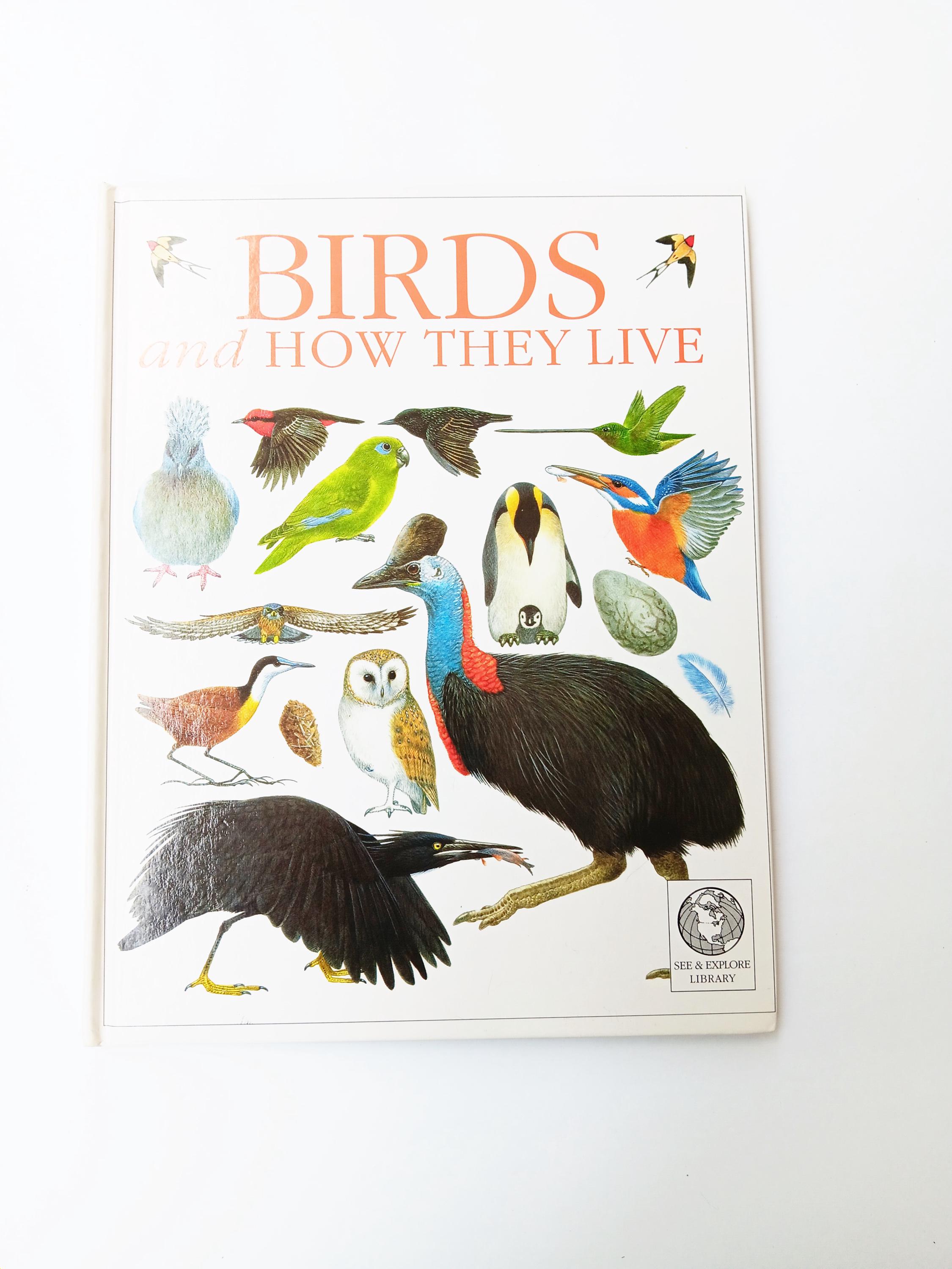 洋書 LIKE BIRDS EVEN JACOBSEN Like Birds - Sven Jacobsen | moom