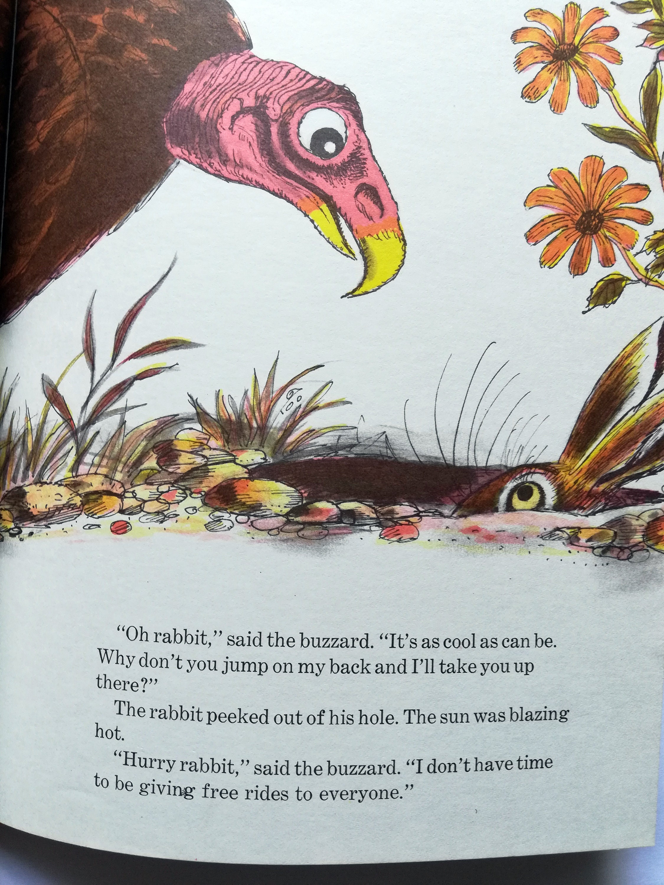 The Cool Ride in the Sky, Hardcover, Illustrated by Paul Galdone ...