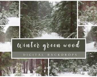 16 Winter Green wood digital backdrops